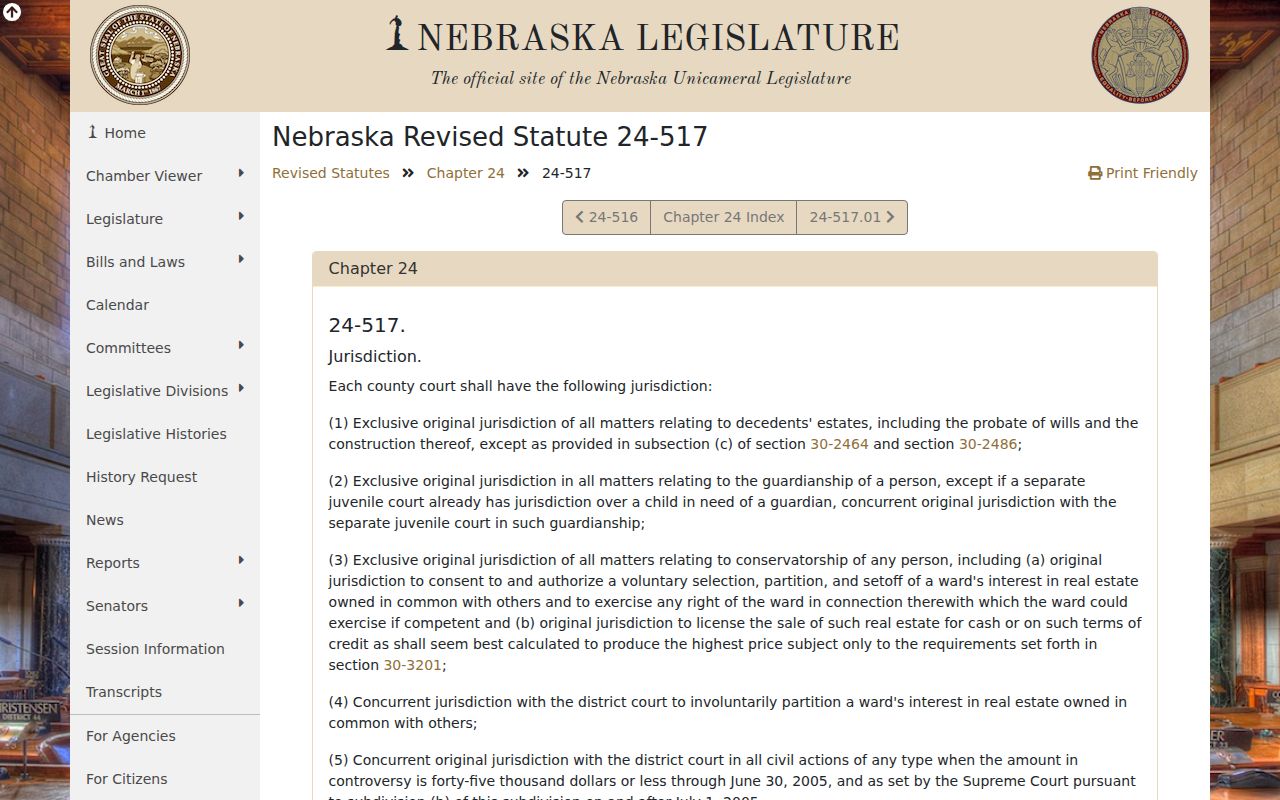 Gosper criminal docket county court jurisdiction statute reference